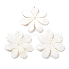 Colgantes de concha natural de agua dulce, charm de flores, blanco floral, 35.5x35.5x3mm, agujero: 1.6 mm