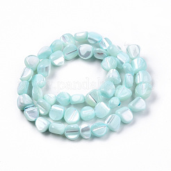 Fili di perle di conchiglia trochid naturale / trochus&nbsp;SSHEL-N032-49-A03