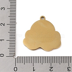 201 Edelstahlanhänger&nbsp;STAS-C095-01G