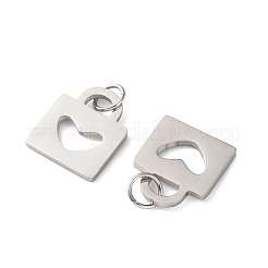Pendentifs en acier inoxydable 304&nbsp;STAS-E530-01P