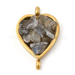 Dijes de conector de corazón de acero inoxidable 304 con chip de piedra preciosa mixta natural&nbsp;KK-P300-31G