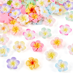 84 Stück 12 Stile Plumeria undurchsichtige Harz Cabochons&nbsp;RESI-TA0004-32