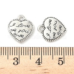 Charms in lega stile tibetano&nbsp;FIND-B050-15AS