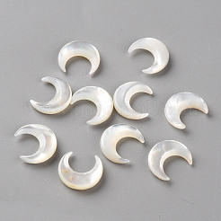 Shell perle bianche naturali&nbsp;X-SSHEL-Q311-004A-01