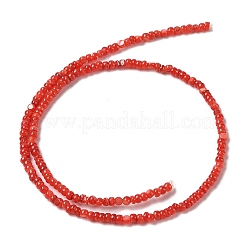 Eau douce naturelle de coquillage perles brins&nbsp;SHEL-P017-01B-07