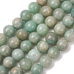 Fili di perline amazonite naturale&nbsp;G-F461-12-8mm-01B
