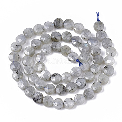 Natur Labradorit Perlen Stränge&nbsp;G-S362-025