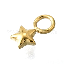 Anhänger aus 304 Edelstahl&nbsp;STAS-H233-14G
