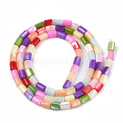 Chapelets de perles de coquille de trochid / trochus coquille&nbsp;SHEL-N003-26-B01