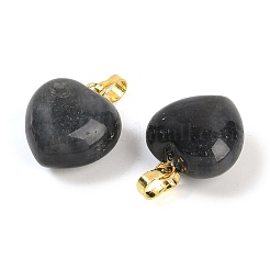 Natur Labradorit Anhänger&nbsp;G-J386-H15-G