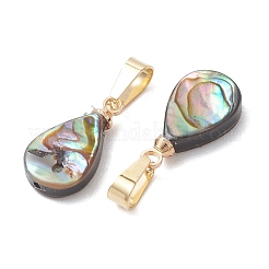 Abalone Muschel / Paua Muschel Anhänger&nbsp;PALLOY-JF05263
