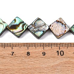 Natur Paua Muschel Perlen Stränge&nbsp;BSHE-ZX006-08B