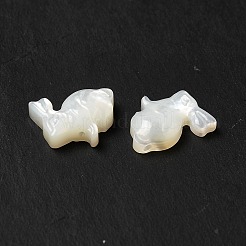 Shell perle bianche naturali&nbsp;BSHE-E026-08