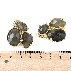 Natürliche Labradorit-Verbindungsverbinder&nbsp;G-E526-28F