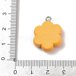 Pendentifs en résine opaque&nbsp;RESI-Q020-05A