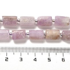 Naturperlen Stränge kunzite&nbsp;G-N327-06-36