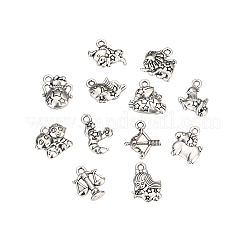 Zinklegierung Charms Charme Anhänger&nbsp;PALLOY-CJ0001-100