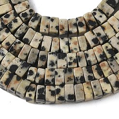 Natur Dalmatiner Jaspis Perlen Stränge&nbsp;G-A280-C07-01