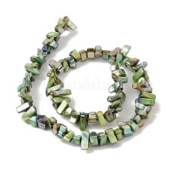 Eau douce naturelle de coquillage perles brins&nbsp;BSHE-H018-07C