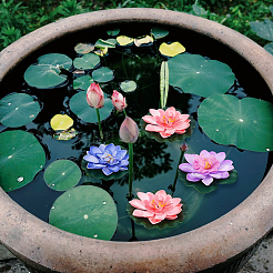 16 Stück 8 Farben Eva künstlicher Lotus&nbsp;DIY-FH0010-33