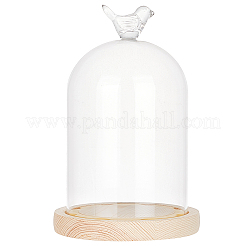 Copertura a cupola in vetro per uccelli&nbsp;AJEW-WH0323-79