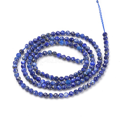 Filo di Perle lapis lazuli naturali &nbsp;G-Q961-15-2.5mm