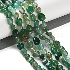 Natürliche grüne Onyx Achat (gefärbt und erhitzt) Perlen Stränge&nbsp;G-P497-01C-30