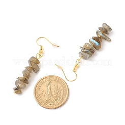 Orecchini pendenti con perline di chip di labradorite naturale&nbsp;EJEW-JE04788-04