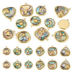 12 stücke 6 arten 304 edelstahl pflastern natürliche paua shell anhänger&nbsp;STAS-TA0005-90