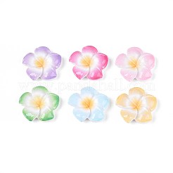 Cabochons aus undurchsichtigem Harz mit Plumeria-Blüten&nbsp;CRES-T025-30M-01