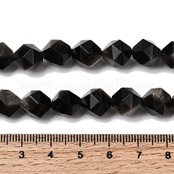 Natürliche silberne Obsidianperlenstränge&nbsp;G-Z119-A11-03