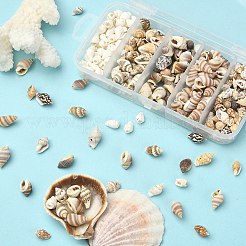 5 Arten gemischte natürliche Muschelperlen&nbsp;SSHEL-YW0001-03