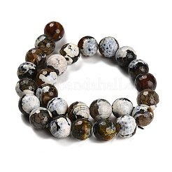 Fuoco naturale agata crepitio fili di perline&nbsp;G-L595-A02-01D