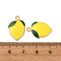 Pendentifs d'émail en alliage&nbsp;FIND-H051-02G
