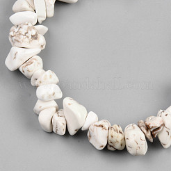 Unisex-Chips natürliche Magnesit-Perlen-Stretch-Armbänder&nbsp;BJEW-S143-41