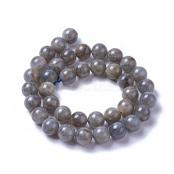 Perline labradorite naturale fili&nbsp;G-F627-10-D