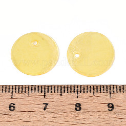 Dijes de disco de concha de capiz natural pintados con aerosol&nbsp;BSHE-T014-02G