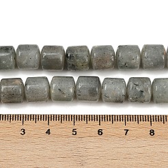 Natur Labradorit Perlen Stränge&nbsp;G-G275-D10-10x10mm