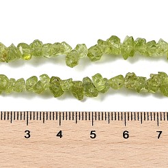 Natürlichen Peridot Perlen Stränge&nbsp;G-P332-48-01
