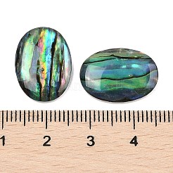 Natürlichen Muschel Cabochons&nbsp;SSHEL-I026-20A
