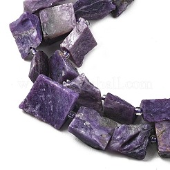 Naturperlen Stränge charoite&nbsp;G-D101-B17