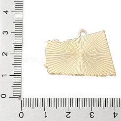 Pendentifs en alliage émaillé pour le sport&nbsp;LS-ENAM-I074-01G-03