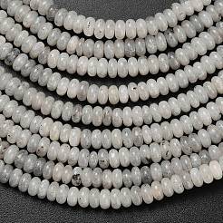 Natur Labradorit Perlen Stränge&nbsp;G-L635-A05-4x2mm