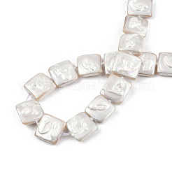 Placcatura fili di perline di conchiglia d'acqua dolce naturale&nbsp;SHEL-N026-230A