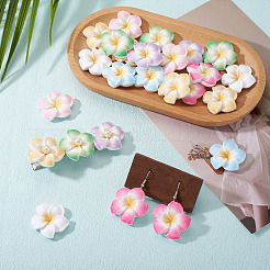 28 Stück 7 Farben Plumeria Blume undurchsichtige Harz Cabochons&nbsp;CRES-TA0001-75