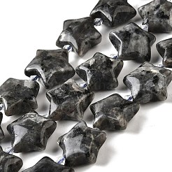 Natürliche Larvikit-Perlenstränge&nbsp;G-U023-C01-09