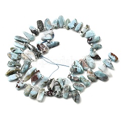 Larimar Naturperlen Stränge&nbsp;G-Z091-A09