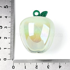 Überzug undurchsichtiger Acrylanhänger&nbsp;PACR-T018-01A
