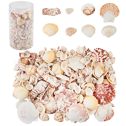 Kits mit natürlichen Muschelperlen&nbsp;SSHEL-PH0002-49