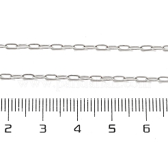 Anlaufgeschützte Büroklammerkette aus 304 Edelstahl mit Karabinerverschluss für Männer und Frauen&nbsp;X-NJEW-H205-03P-01